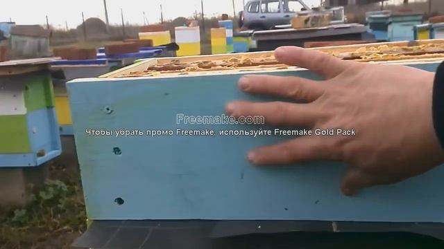 Заношу пчёл в зимовник смотреть онлайн