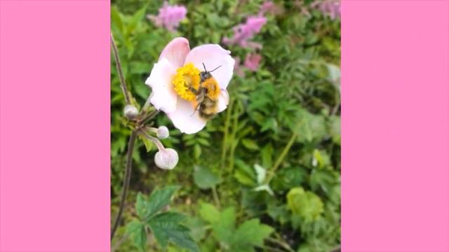 Последний месяц лета смотреть онлайн