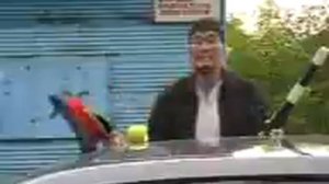 Номер. Такой номер я в жизни не видела. Ах мамочка на саночках.