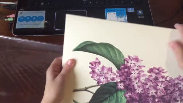 Папка на кнопке А4 объемная 10 мм 