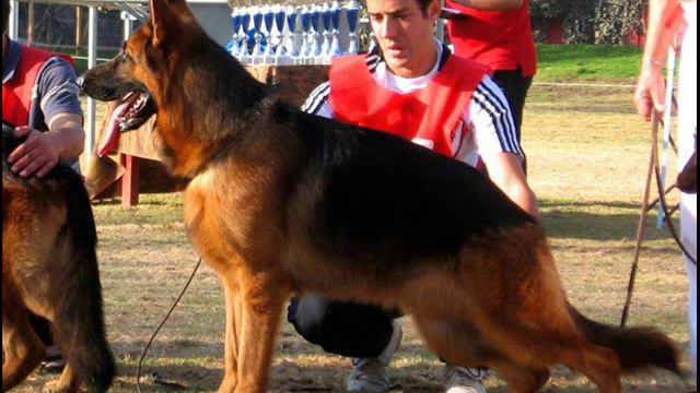 VON HAUSFIG'S 2012 GRANDE CHILE смотреть онлайн