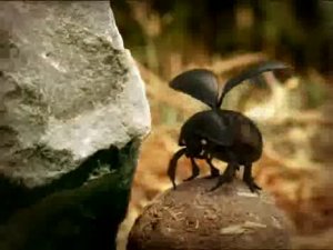 Мелюзга . 3. Коровья лепешка была...