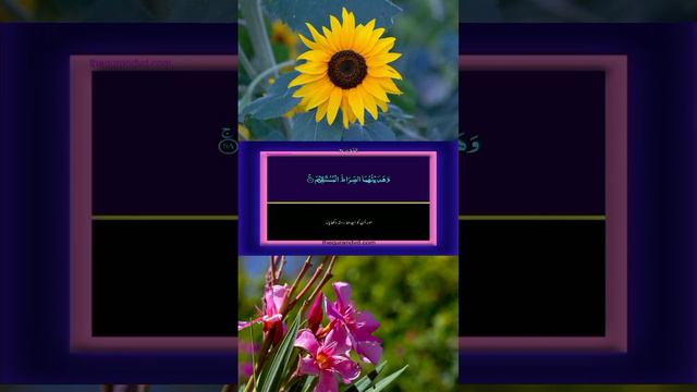 Quran pak tarjuma // urdu // part 27 смотреть онлайн