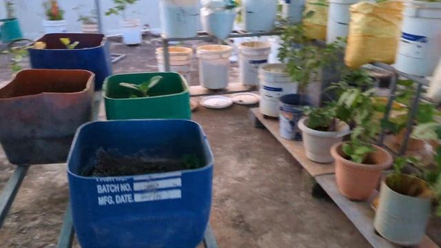 Our garden 1 смотреть онлайн