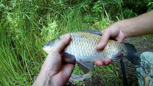 Рыбалка в жару Где искать рыбу в жару. смотреть онлайн