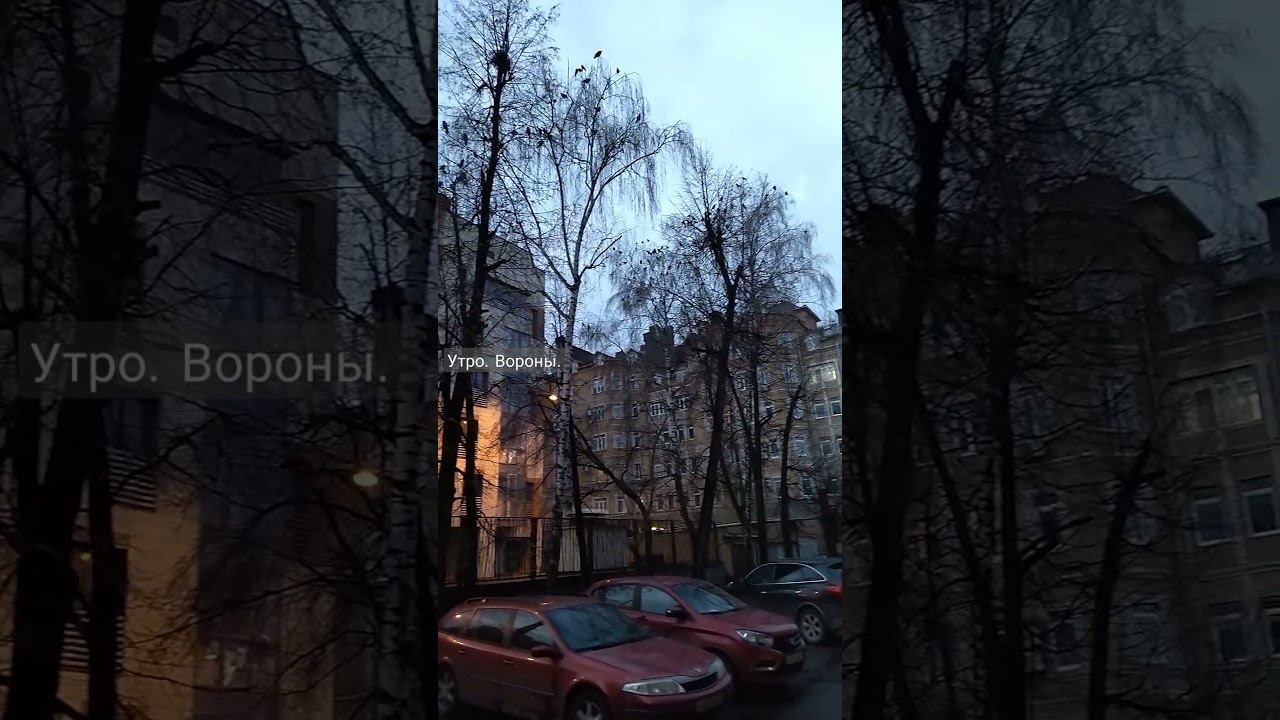 Вместе мы сила! Город. Это Россия. смотреть онлайн