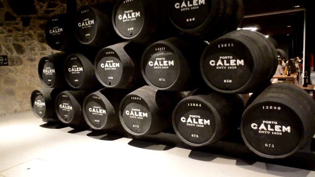 Winetasting Porto Cálem - jedinečná ochutnávka v Portu смотреть онлайн