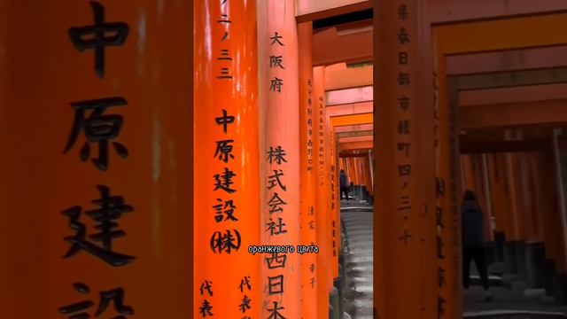 Секрет про главную достопримечательность Киото 🤫 #япония #токио #студенты #киото #путешествие смотреть онлайн