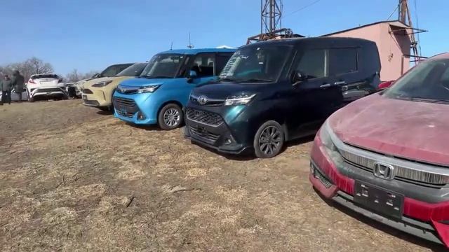 ПРЯМО МНОГО АВТОМОБИЛЕЙ 24.02.24 подборавто ,автоэксперт , смотреть онлайн