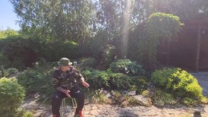 Альпийская горка, как сделать альпийскую горку своими руками