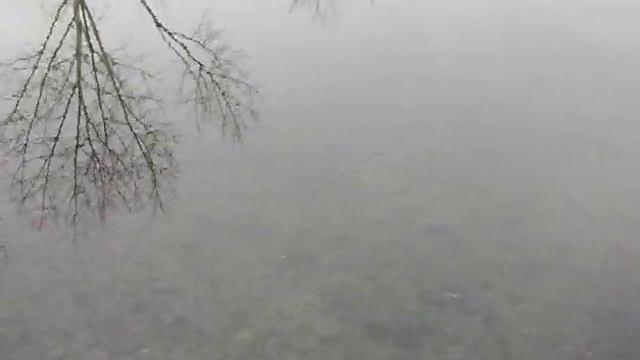 Тест блесен самоделок на речных монстров. смотреть онлайн
