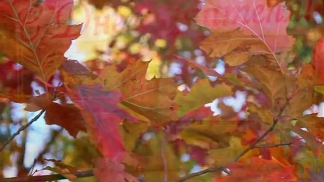 С днем учителя! смотреть онлайн