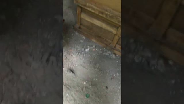СТРАЙКБОЛ. Воскресная игра. Встречный бой. Френдлифаер. 11 августа смотреть онлайн
