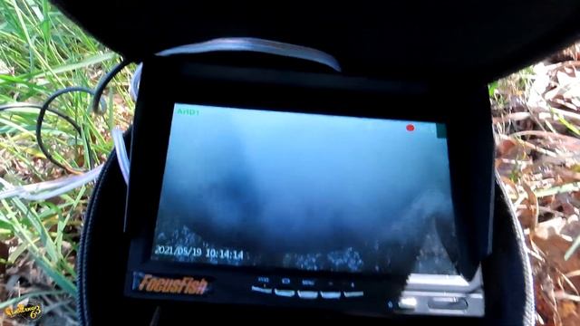 Активный майский клёв на поплавочную удочку, Рыбалка на карася с подводной камерой смотреть онлайн