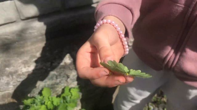 Ребятки єто 3 часть !! Может скоро будет 4 часть! смотреть онлайн
