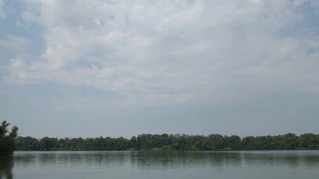 Как вылечить гепатит 