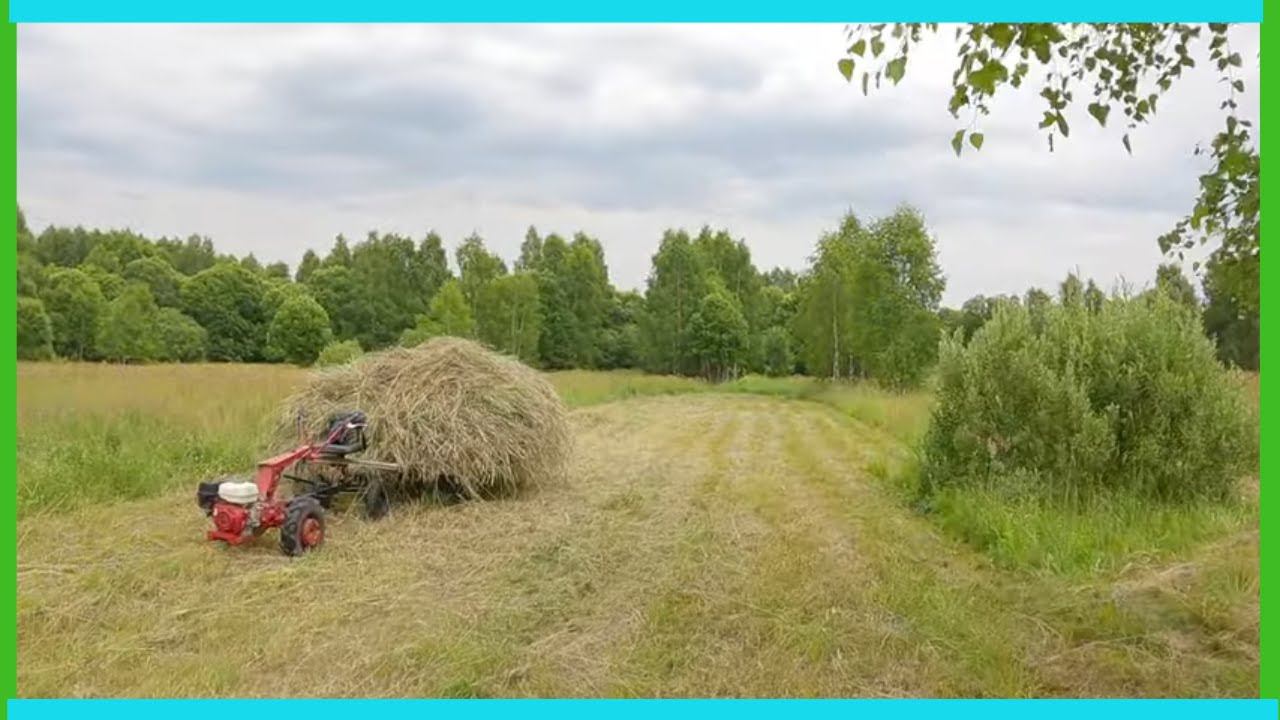 Сенокос "на дальнем кордоне" и деревенские новости прошедшей недели! смотреть онлайн
