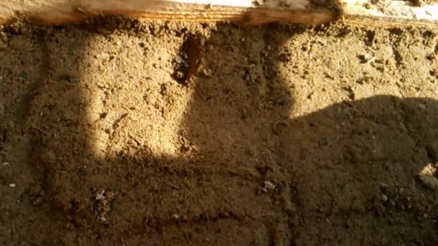 Трамбовка опилкобетона ч2 смотреть онлайн