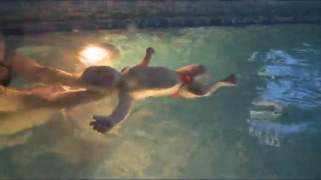 Зоя покоряет бассейн. Грудничковое плавание в секции "Мама+Малыш" Магис-Спорт. смотреть онлайн