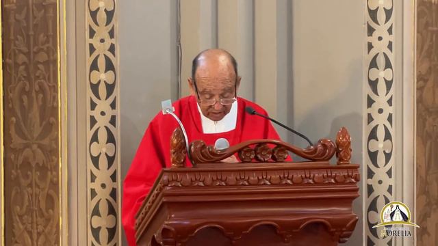 #EnVivo SANTA MISA - Domingo de Ramos - Preside +Herculano Medina Garfias, Obispo Auxiliar смотреть онлайн