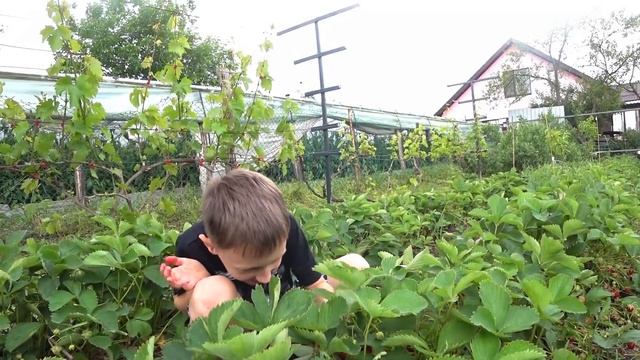 ЛЮБИМЫЕ ИГРУШКИ ВНУКОВ. ПРИЕХАЛИ ПОМОЩНИКИ!. ДЕД И ВНУК. ПЕРЕЕЗД НА КУБАНЬ ИЗ СИБИРИ. смотреть онлайн