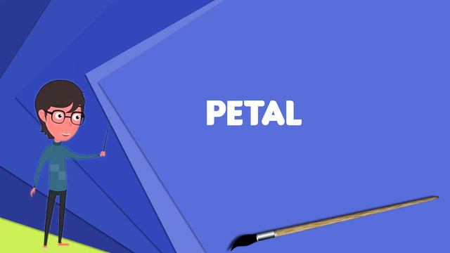 What is Petal? Explain Petal, Define Petal, Meaning of Petal смотреть онлайн