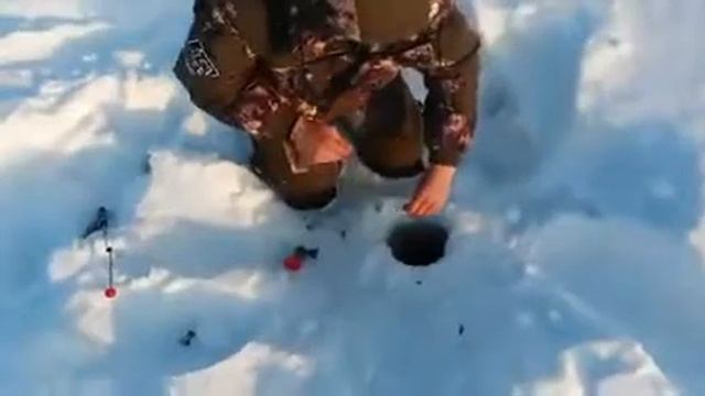 Серёга лещатник смотреть онлайн