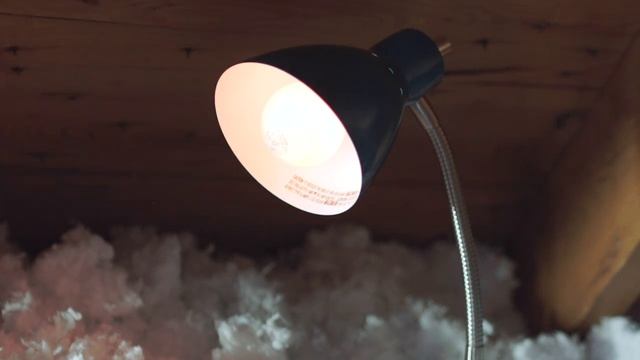 RoscoeBrown LAMP AD смотреть онлайн