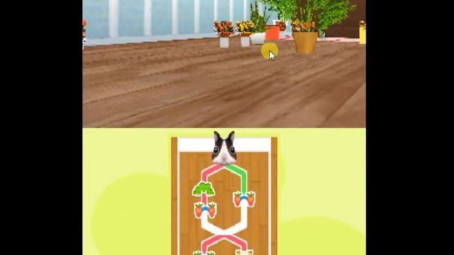 Petz Bunnyz bunch gameplay part 3 смотреть онлайн