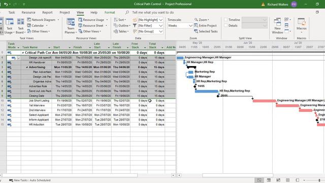 How to set a Critical Path Control in Microsoft Project смотреть онлайн