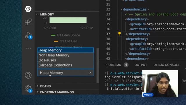Java in VS Code: Spring Boot Tooling смотреть онлайн