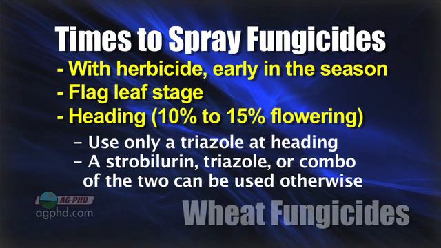 Using Fungicides In Wheat #684 (Air Date 5/15/11) смотреть онлайн