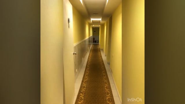 Цокольный этаж Ольгинка 14 октября 2020 г.