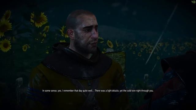 Meeting Master Mirror at the Crossroads at Midnight [Witcher 3] смотреть онлайн