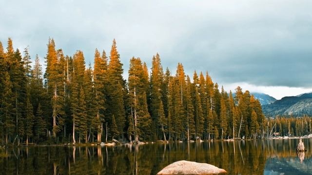 Gandalf. Mystical Morning. Part. 2