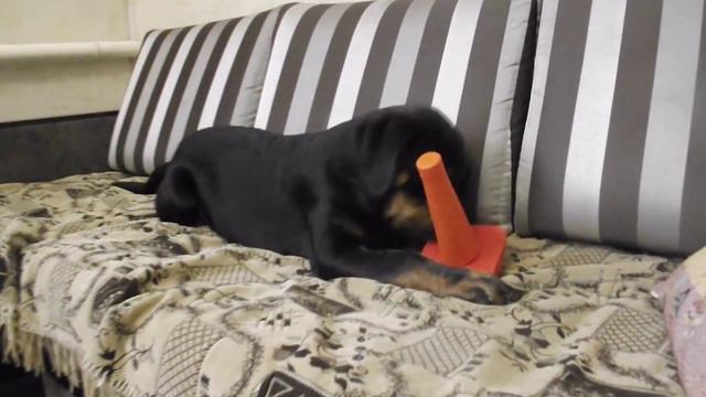 Крафту 4 месяца смотреть онлайн