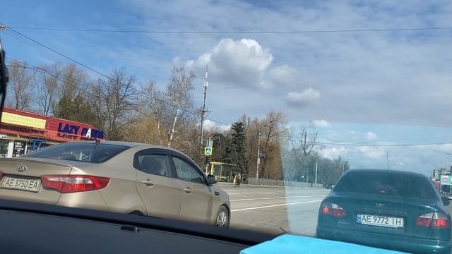 Малышам йоркширского терьера 8 недель. Первая прививка смотреть онлайн