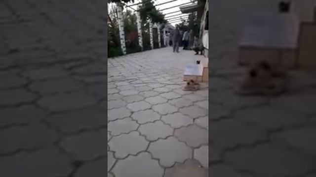сами красиво АЗАН смотреть онлайн