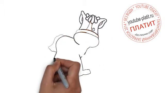 Как нарисовать лошадь видео Учимся рисовать лошадь смотреть онлайн
