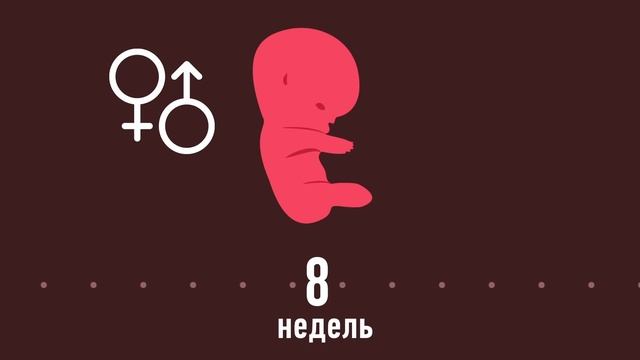 КАК ЗАРОЖДАЕТСЯ ЧЕЛОВЕК смотреть онлайн