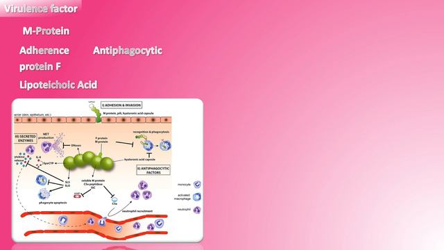 E1.Rheumatic Fever الميكروب السبحى смотреть онлайн