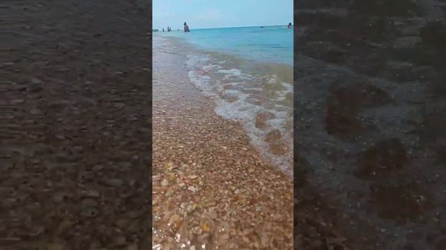 Отдых2023,Казачий берег#азовскоеморе #краснодарскийкрай #изгородавстаницу #2023 #Казачийберег смотреть онлайн