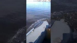 Сеа про 5 л.с.2 такта