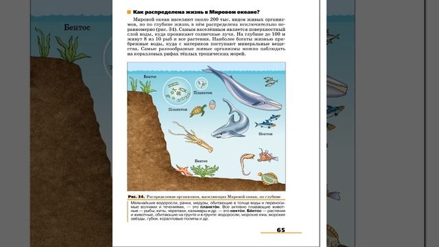 География 7к (Климанова) §13 Мировой океан и его значение для человечества смотреть онлайн