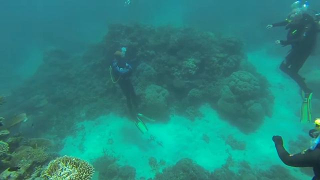 The Great Barrier Reef Australia смотреть онлайн