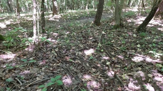 Первые Белые грибы 2021 Волынь смотреть онлайн