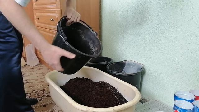Все, пора. Начинаю высаживать укорененные черенки. Подготовка грунта. Март 2020 смотреть онлайн