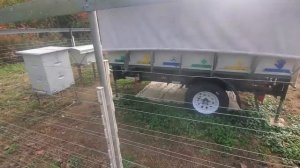 ЗАЩИТА ПАСЕКИ ОТ МЕДВЕДЯ.