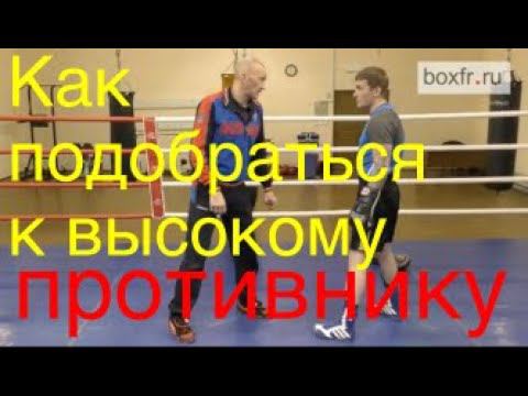 Бокс: вариант атаки против высокого противника смотреть онлайн