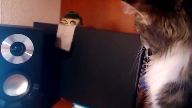 Тест колонок 480p смотреть онлайн